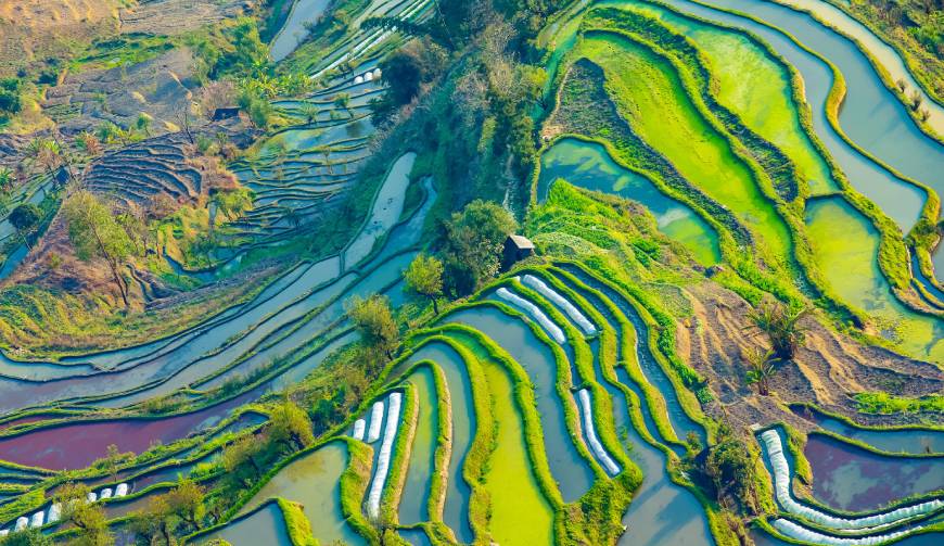 宝妈必备神器：仙游县产品视频拍摄轻松育儿好帮手