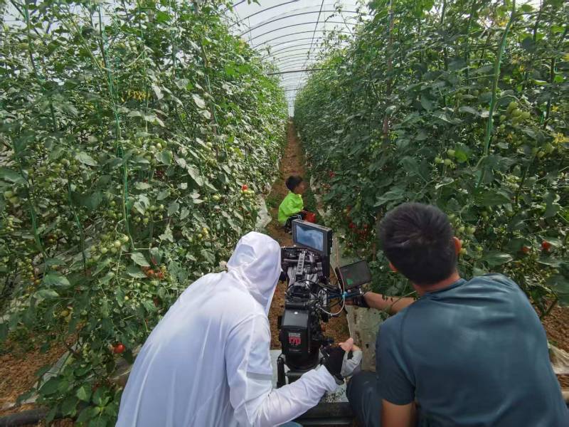 仙游县产品宣传视频拍摄公司进阶指南，助力品牌抢占传播高地